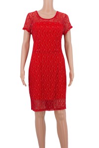 Red short sleeve lace and net party dress