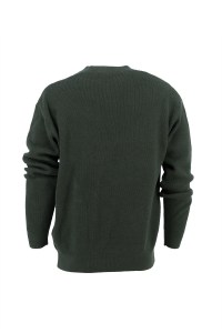 Men Green Round Neck Jumper Solid Knitted